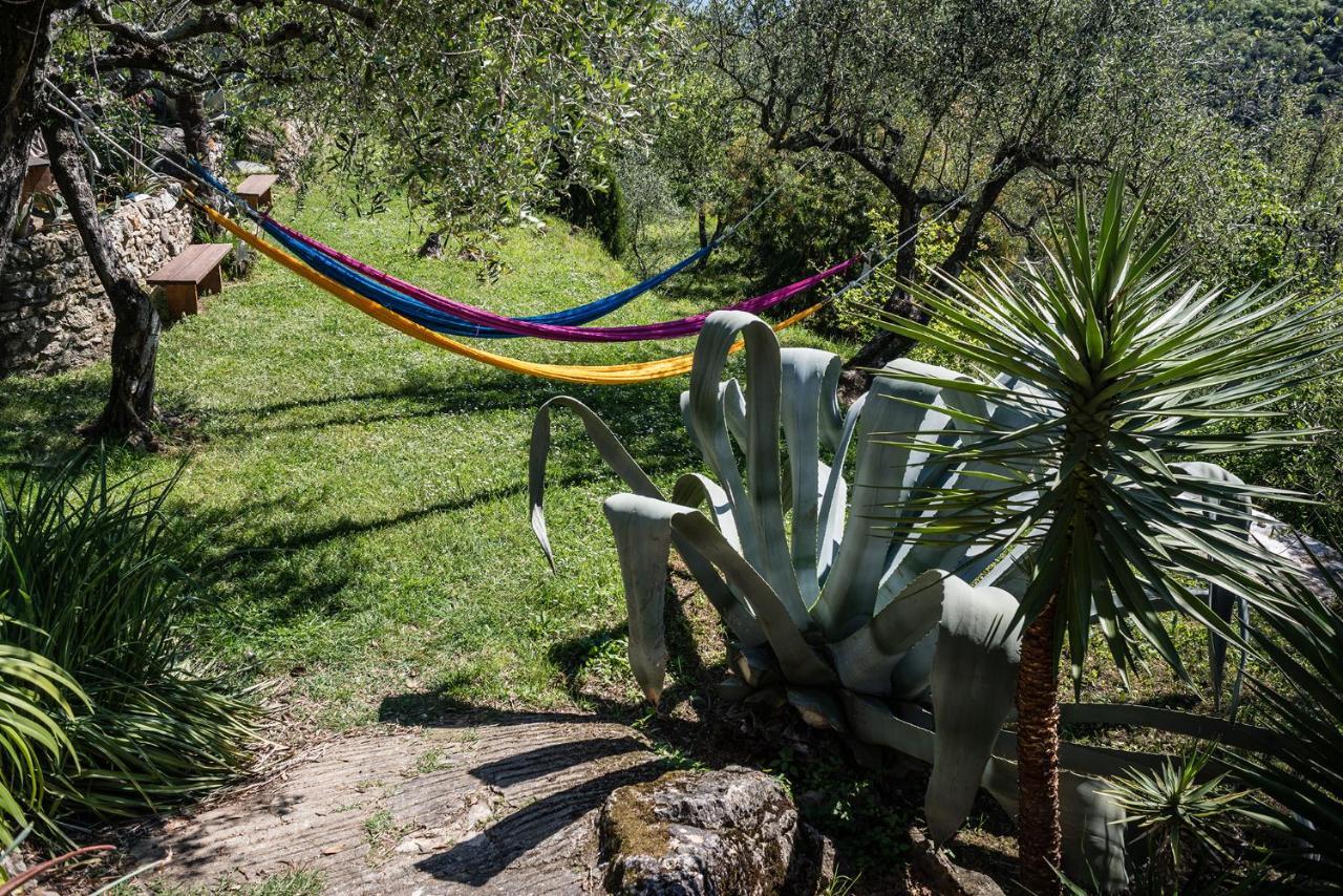 La Fattoria Di Nonna Eugenia Bed & Breakfast Lerici Exterior foto