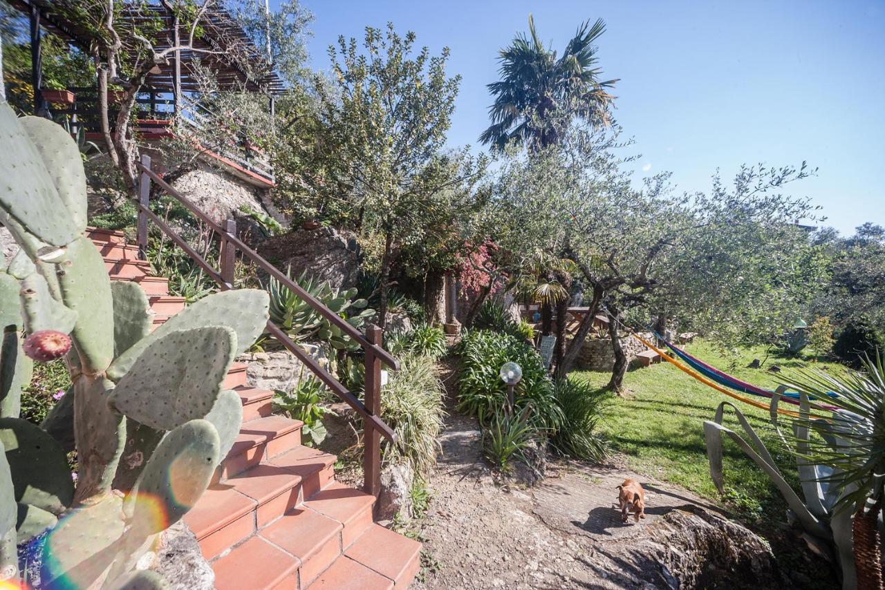 La Fattoria Di Nonna Eugenia Bed & Breakfast Lerici Exterior foto