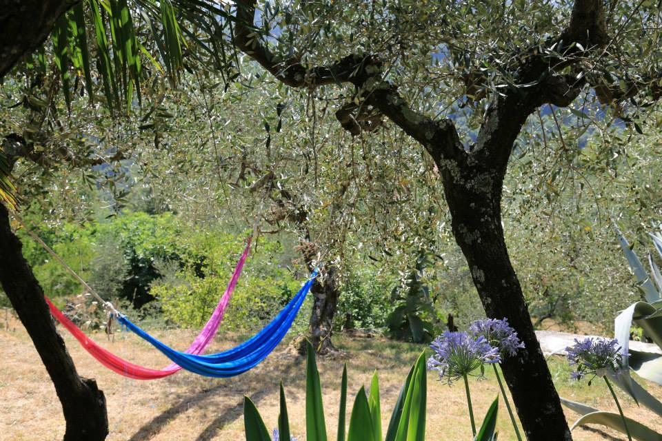 La Fattoria Di Nonna Eugenia Bed & Breakfast Lerici Exterior foto